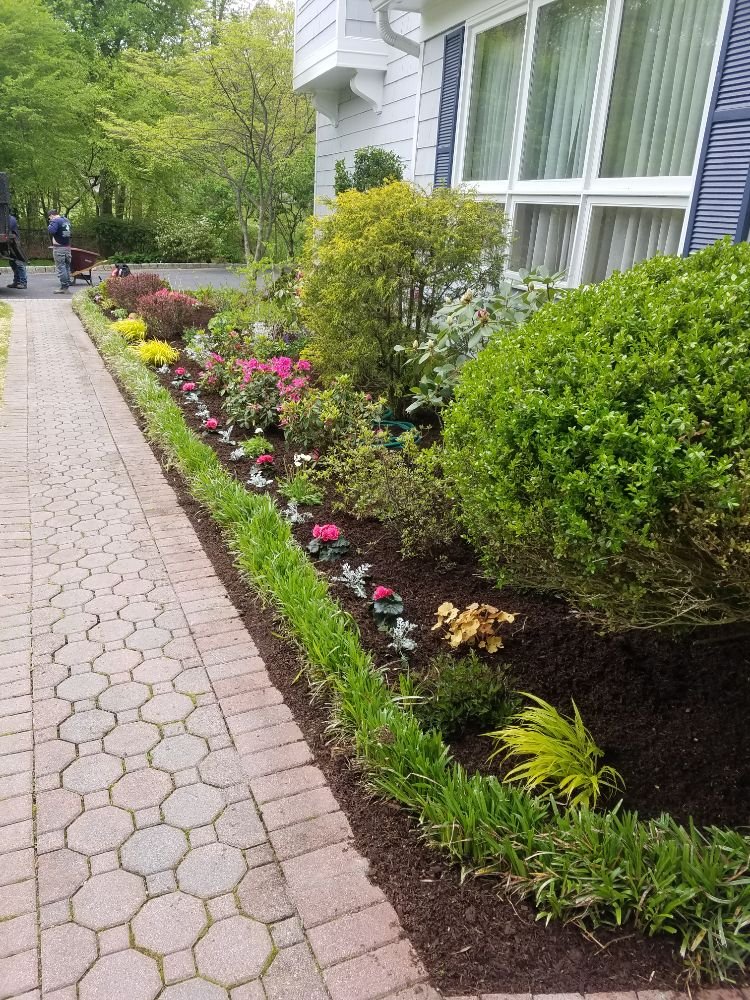 Irrigation System view 2